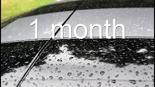 Turtle Wax Acrylic Ceramic Black Wax 1 month update