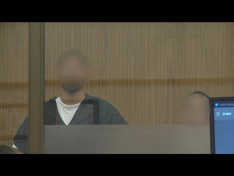 Two suspects in violent Oceanside baseball bat attacks plead not guilty ...