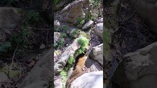 Relaxing Place Water Sounds Conya