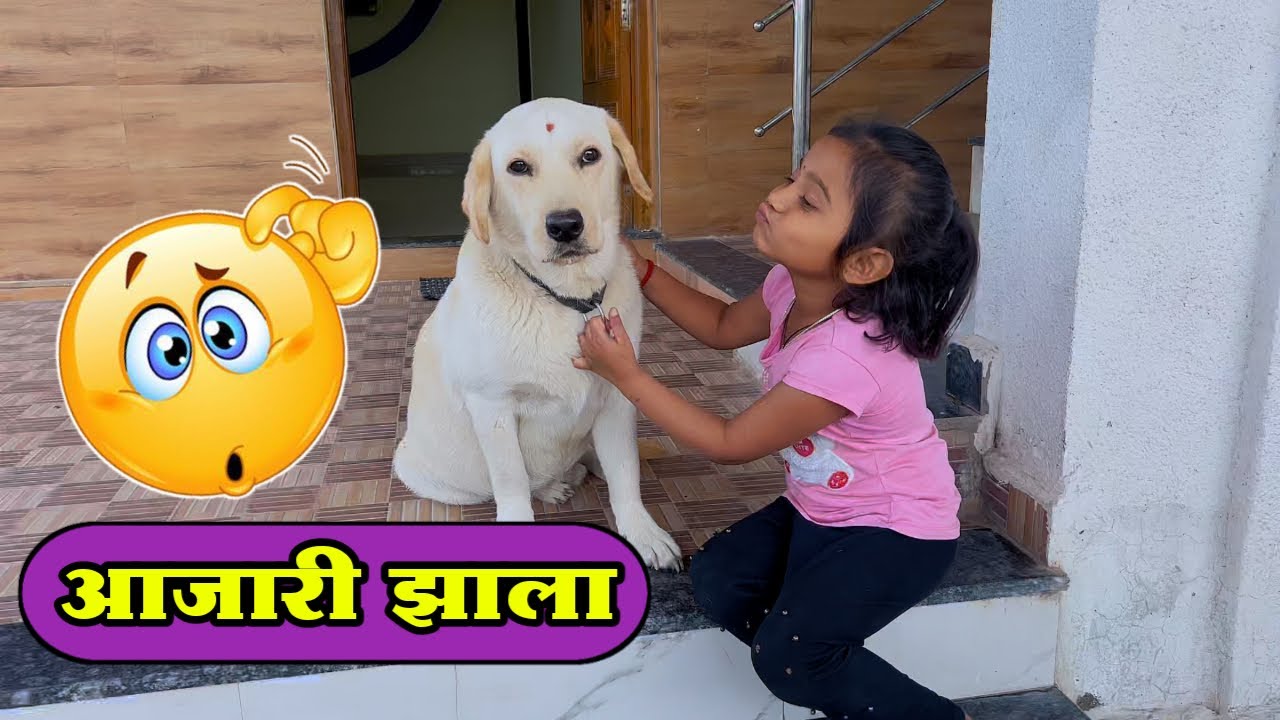 आमचा पप्पी आजारी झाला 😱#कॉमेडी