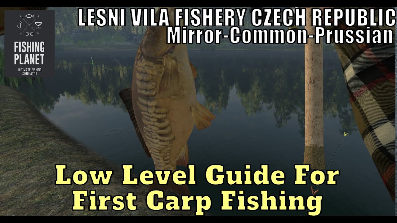 Fishing Planet, Low Level Guide For First Carp Fishing In Lesni Vila Fishery Czech Republic