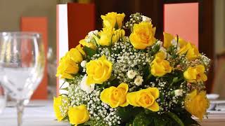 18 Yellow Roses  - Bobby Darin: with Lyrics(가사번역)