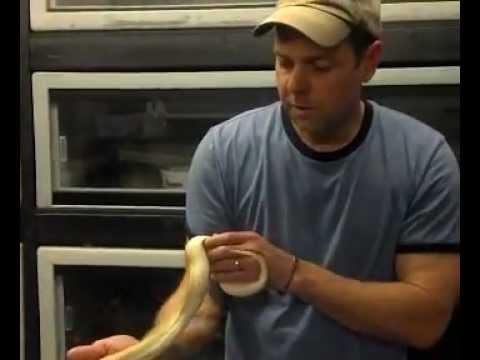 Double and Triple Visible - HYPO Burmese Pythons