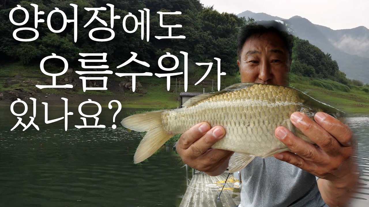 폭우가 끝나고, 지곡 최상류에서 오름수위를 만나봤는데요. 쇼킹!!!!!