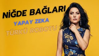Niğde Bağları - Türkü Robotu (Cover)