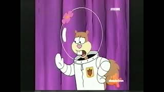 Squirrel Jokes Part 3