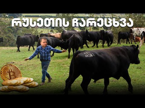 რუსეთის ჩარეცხვა - გადაცემა 155