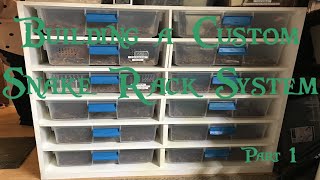 Celebrity Building a Custom Snake Rack System (Part 1) Net Worth