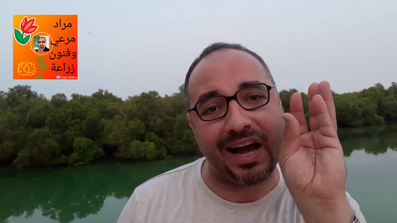 سقوط الزهر الزهور الثمار المحصول من على النباتات والشجر