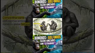 Bonobos e golfinhos fazem amizades com “estranhos”! (Parte 4)