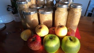 How We Preserve Apples Long Term