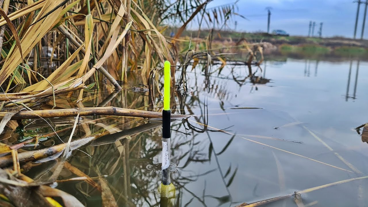 PESCUIT LA PLUTA LA SALAU BALTA SALBATICA CEA MAI CRIMINALA MONTURA DIN LUME