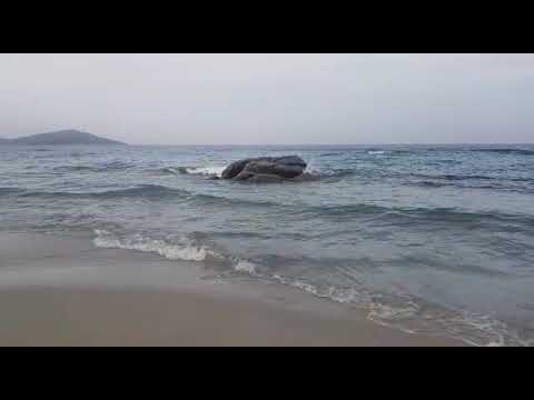 (VIDEO) Ogliastra, il mare nell'ultima domenica di giugno al Lido di Orrì