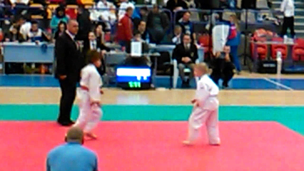Karate seben 2017