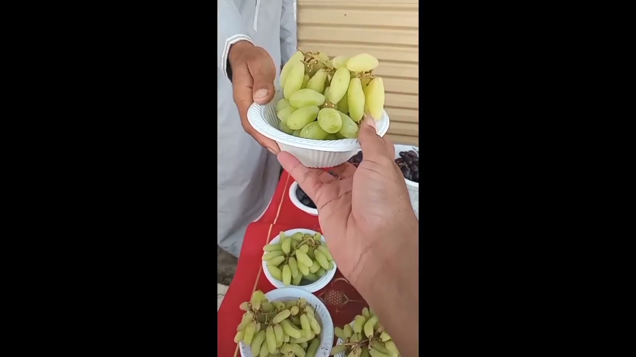 الطائف مسجد عداس وسور الطائف التاريخي ومزرعه العنب في أجواء جميلة رائعة ذهاب النبي للطائف ثقيف