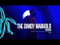 The Dandy Warhols - Burned (Live Fan Video from Webster Hall, NYC 2010)