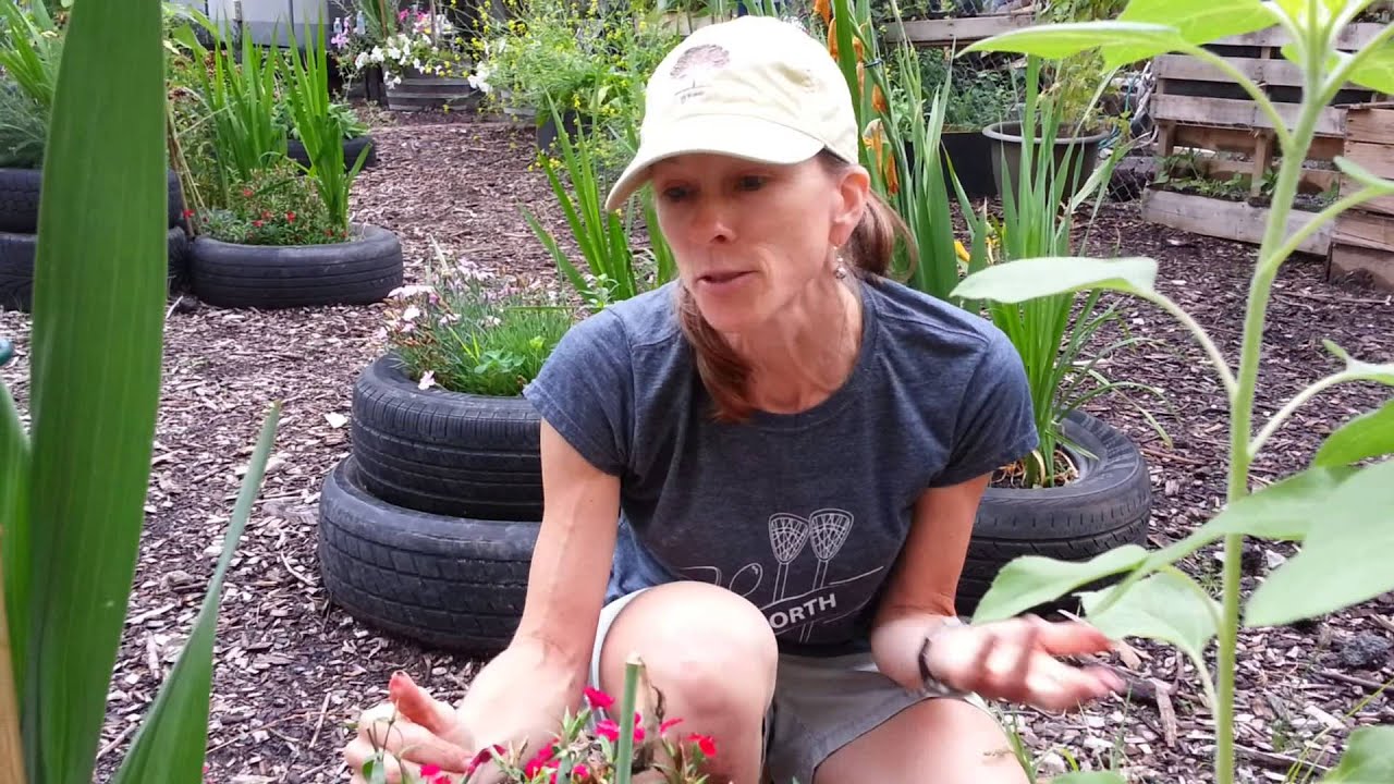 Sage Coalition NJ Gandhi Garden day of service