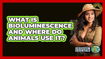 What Is Bioluminescence And Where Do Animals Use It? - Ecosystem Essentials