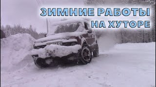 Зимние будни в лесу