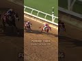 Japan's Breeders' Cup Success