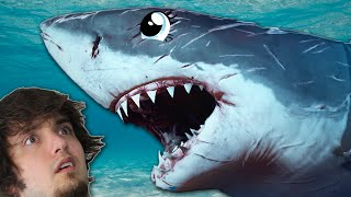 SHARKS vs. DIVERS - Depth!