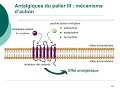 Pharmacologie des mdicaments antalgiquescours comment