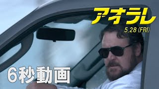 映画『アオラレ』6秒動画 DRIVINGDAYS編