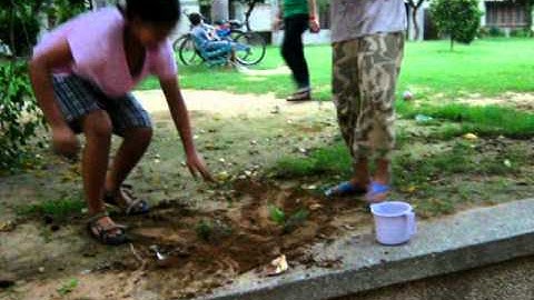 C:\Documents and Settings\Administrator\My Documents\My Pictures\New Folder\Picture 036.avi