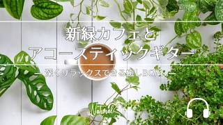 Natural Sonic「新緑カフェとアコースティックギター」ー 深くリラックスできる癒しBGM ー