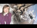 what you NEED to know about SLINGS vs ADULT TARANTULAS (pros and cons)