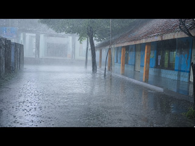 Sleep Fast with Heavy Rain & Strong Wind Sounds 🌧️ Relaxing Storm Ambience for Deep Sleep (Real 4K)