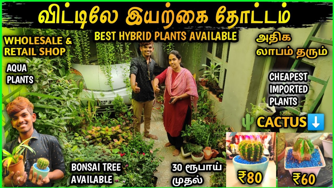 ரூ 30 முதல் Nursery Garden plants Shop🔥 மலிவான விலையில் Bonsai