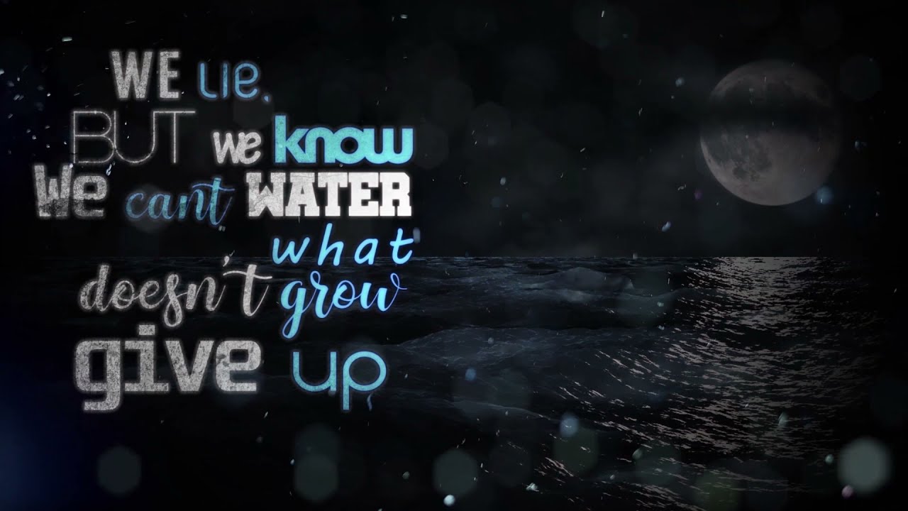 NEW Awesome Lyric Video Animation for your songs