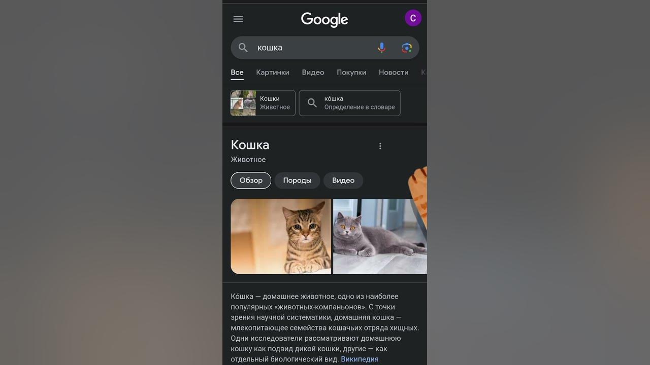 гуг удивляет - YouTube