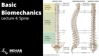 Biomechanics Lecture 4 - Spine