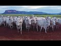 LOTE E02