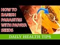 How to Banish Parasites with Papaya Seeds | Papaya Seeds Cleanse Intestinal Worms