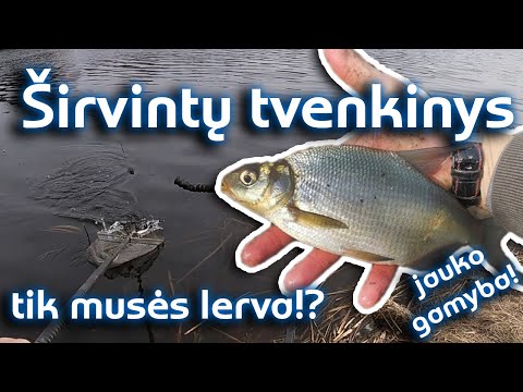 Video: Netikėtas Laimikis