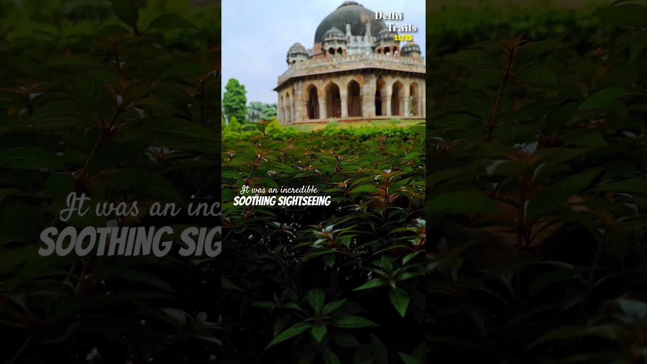 Never thought Sightseeing could be this soothing. 