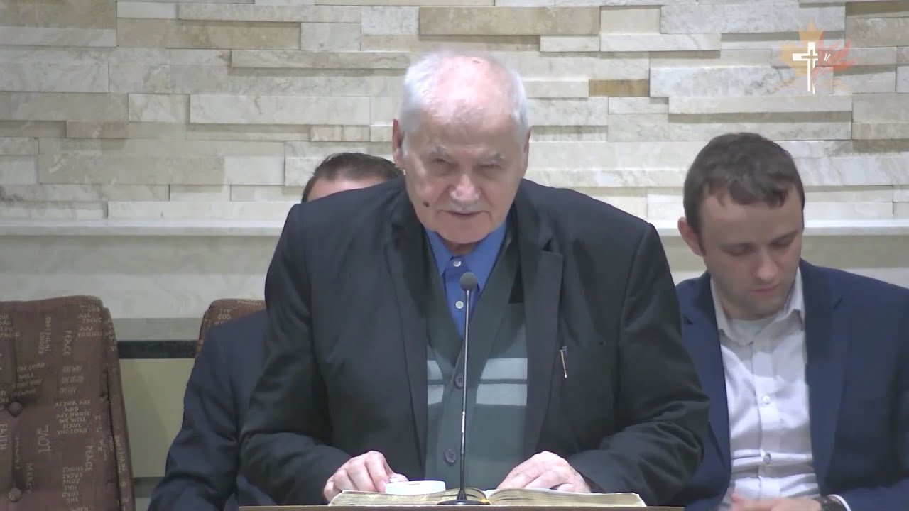 Vasile Hozan - Omul fără prihană