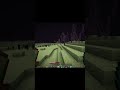 4 End City Yan Yana %0.0003  #minecraft #endcity #end #shorts #short #shortvideo