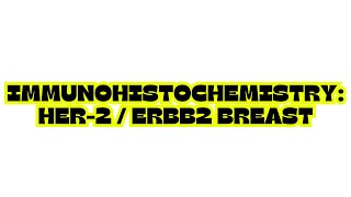 IMMUNOHISTOCHEMISTRY: HER-2 \/ ERBB2 BREAST