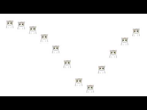 【Processing】Box Softbody Animation