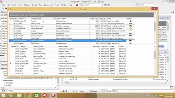 Delphi Tutorial #106 - Express Quantum Grid - First Impressions