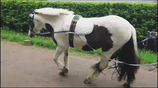 Advert reference - 315848