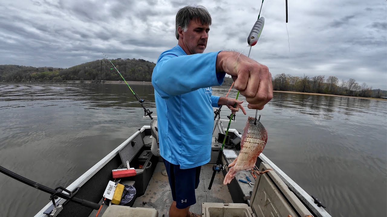 The Very Beginning  Of Big Fish Season