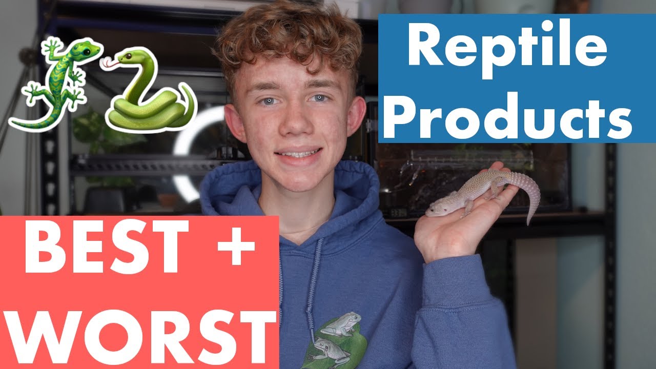 Ranking the BEST and WORST Reptile Products! | Top Items for your Reptile