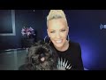 Jenny McCarthy On Quarantining With 7 Teenage Boys For 5 Months: I Made 70 Pancakes Every Morning!