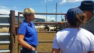 New York beef representatives tour South Dakota beef operations