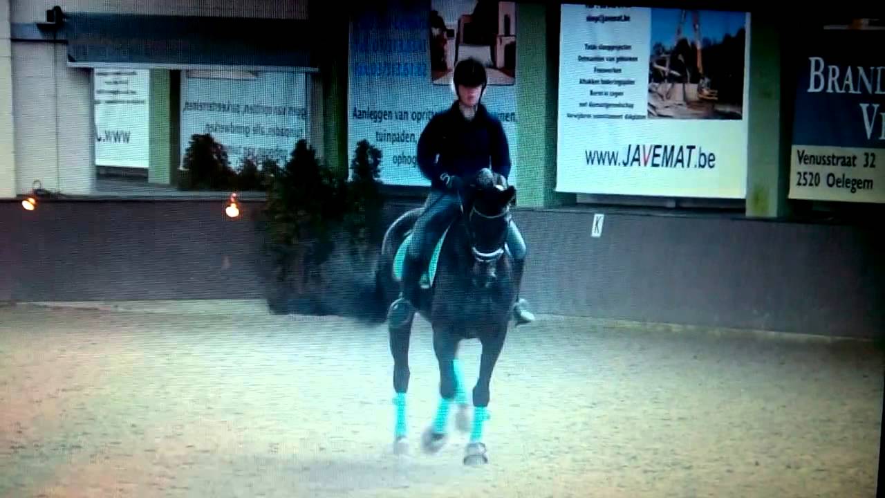 Elfie appuyement rechts 14/2/2015